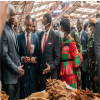 Inside Malawi's Controversial Kwacha Tobacco Deal Amidst Forex Shortages
